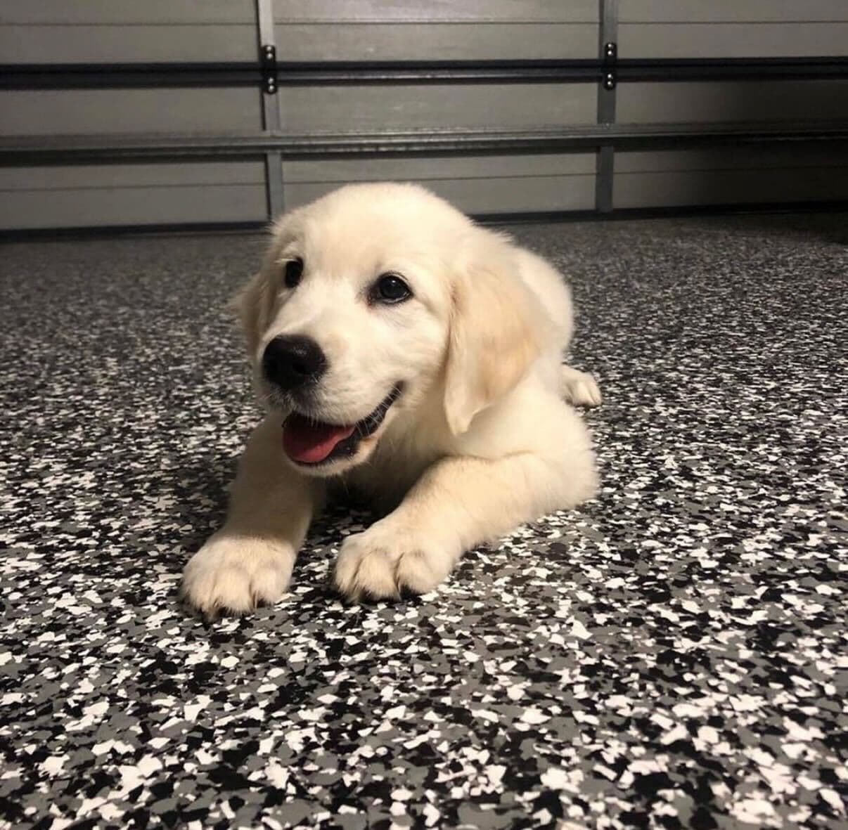 Finished black and white flake residential garage floor